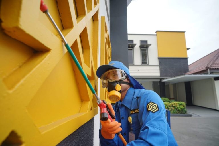 Hubungi Jasa Anti Rayap di Bantul untuk Basmi Rayap dari Rumah