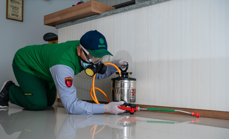 jasa basmi rayap andal