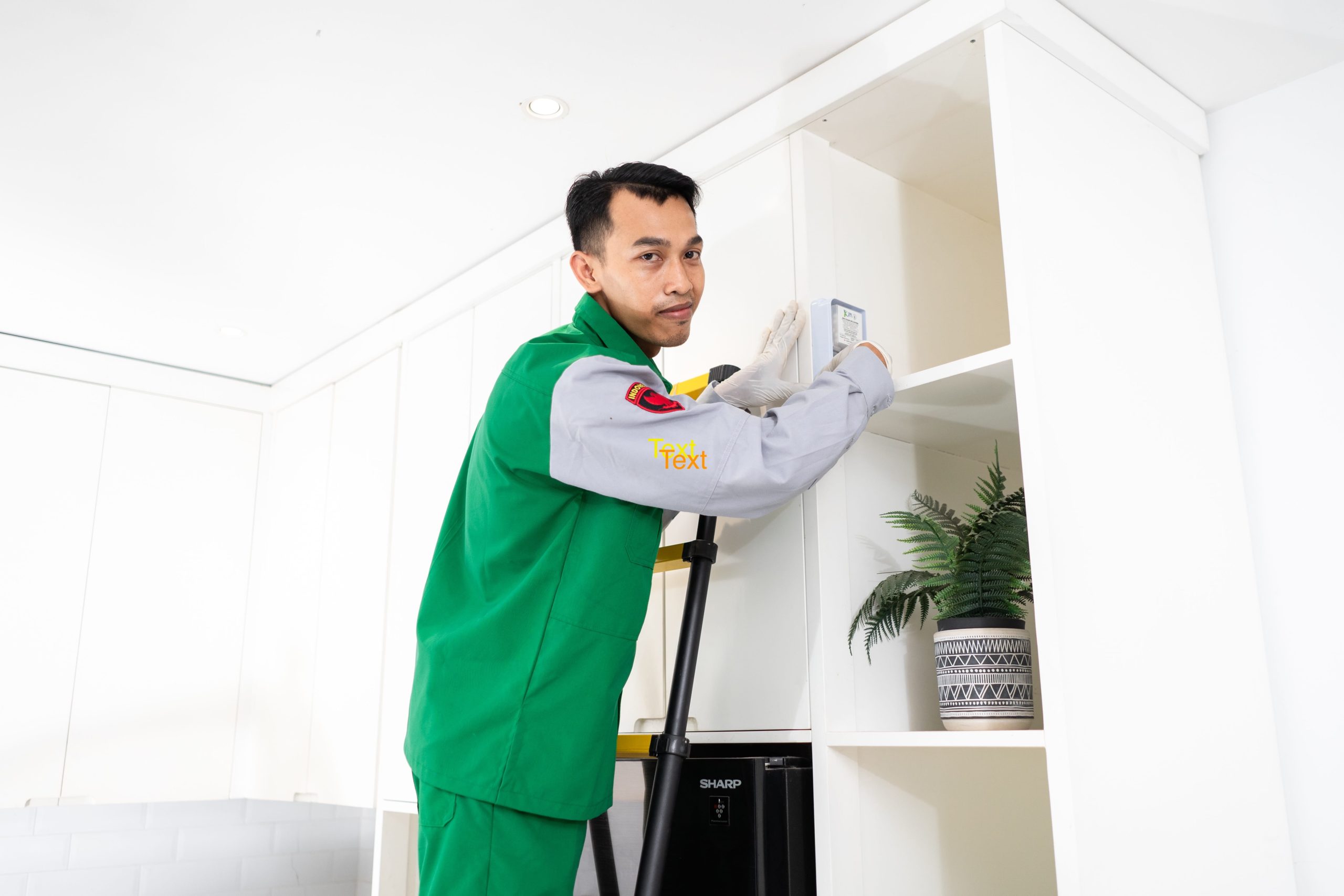 solusi basmi rayap di surabaya, bergaransi