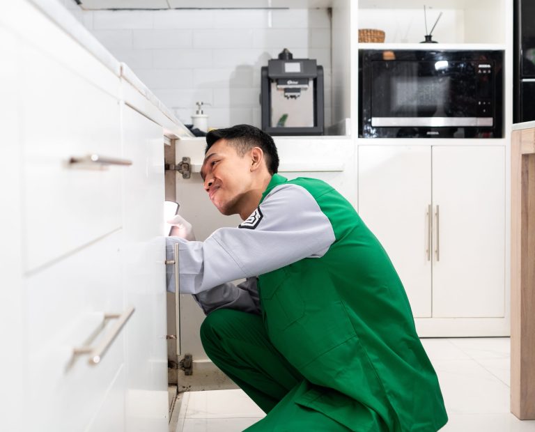 jasa basmi rayap gading serpong tangsel