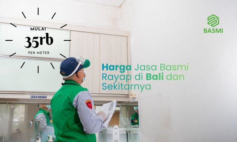 harga jasa anti rayap di bali sekitarnya