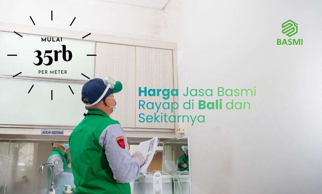 harga jasa anti rayap di bali sekitarnya