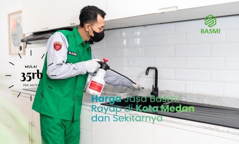 harga jasa anti rayap di kota medan