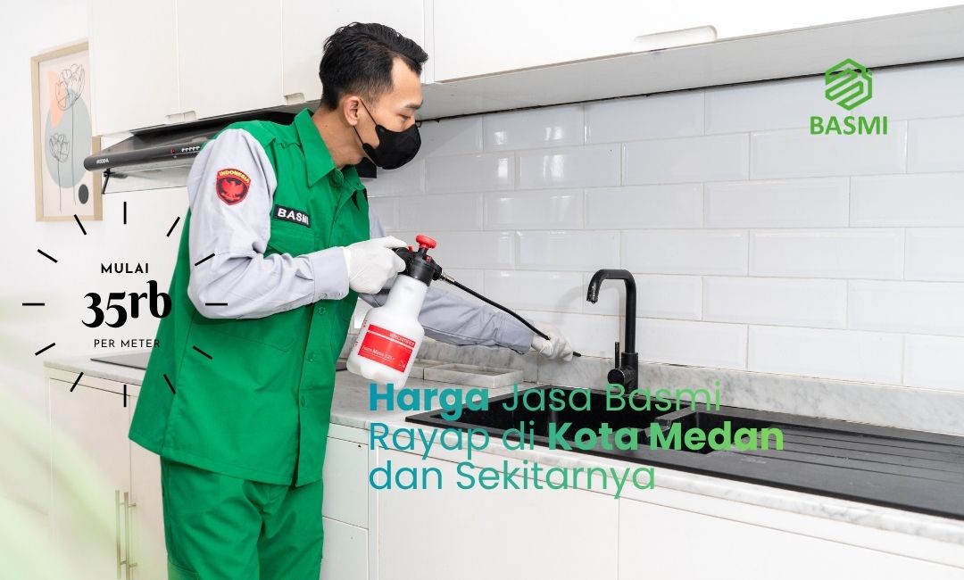 harga jasa anti rayap di kota medan