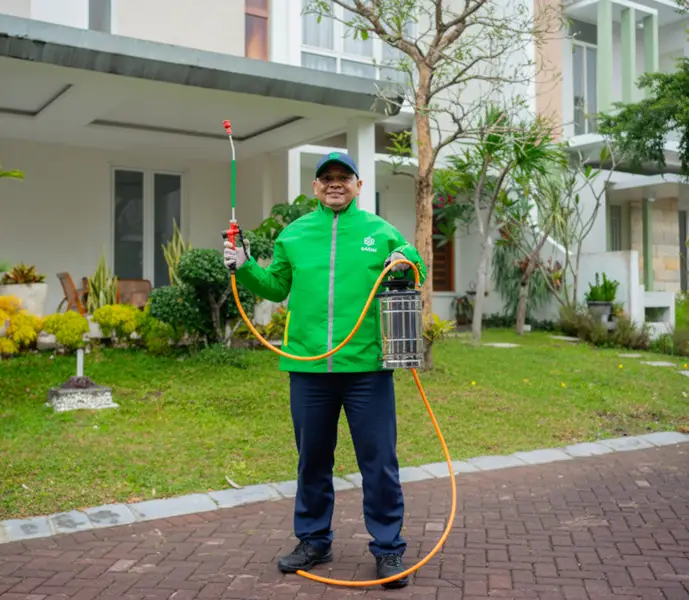 jasa-anti-rayap-profesional