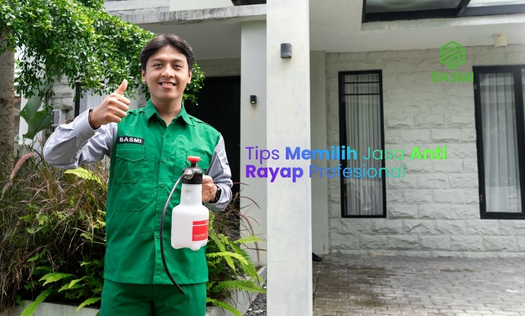 Tips Memilih Jasa Anti Rayap Profesional
