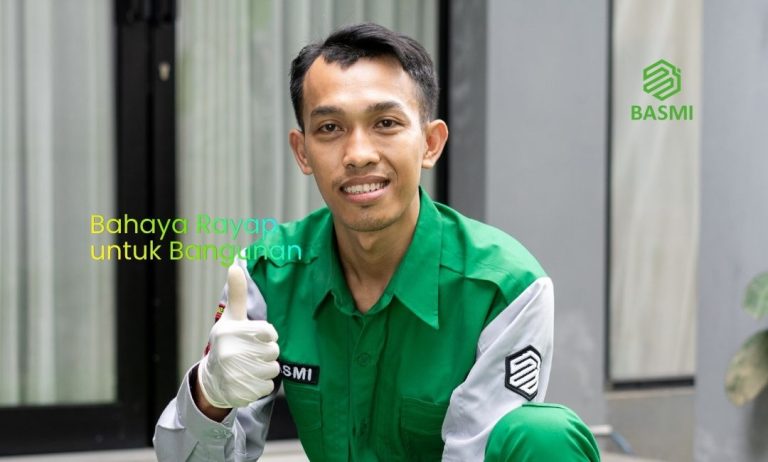 bahaya rayap untuk bangunan