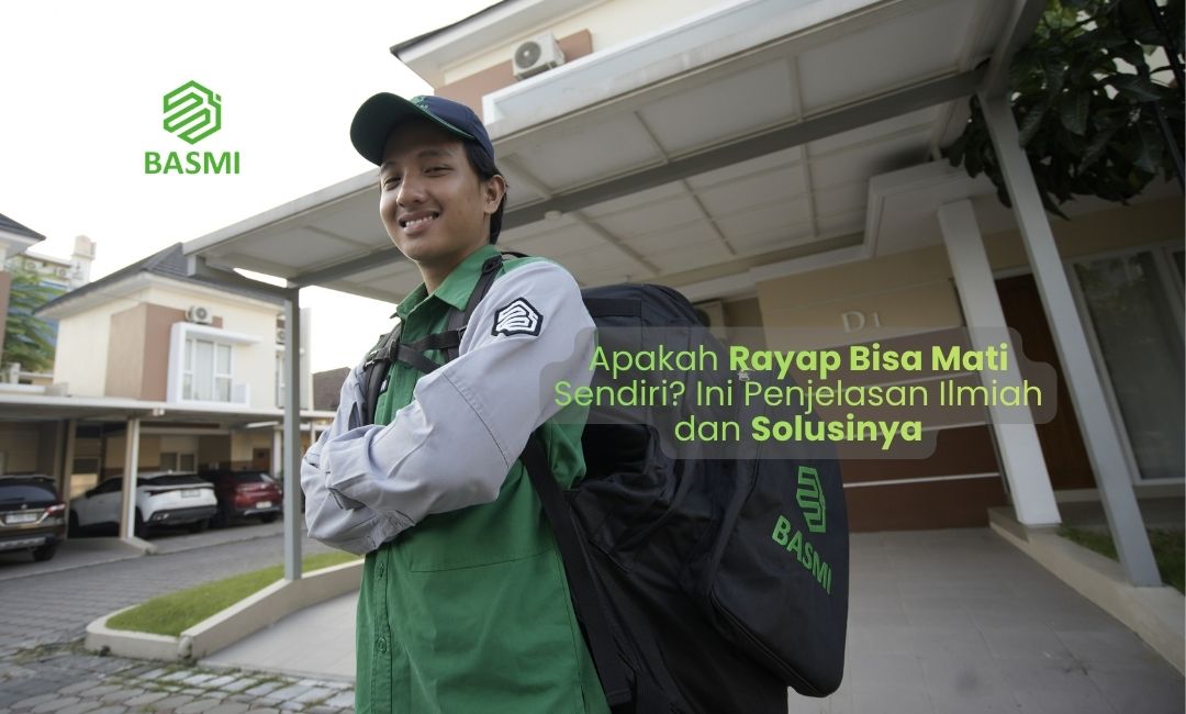 Apakah Rayap Bisa Mati Sendiri? Ini Penjelasan Ilmiah dan Solusinya