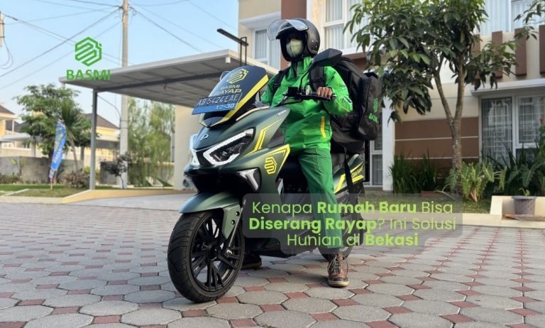 kenapa rumah baru diserang rayap