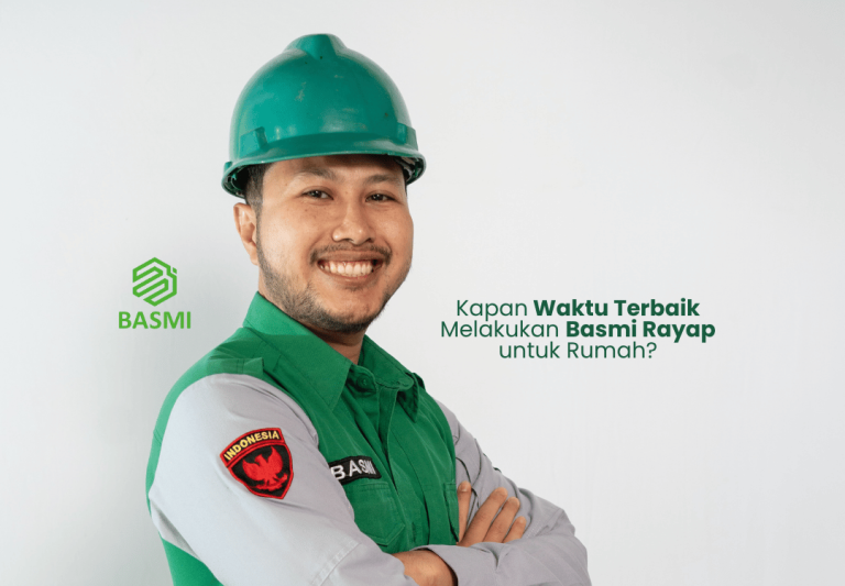 Kapan Waktu Terbaik Melakukan Basmi Rayap untuk Rumah?