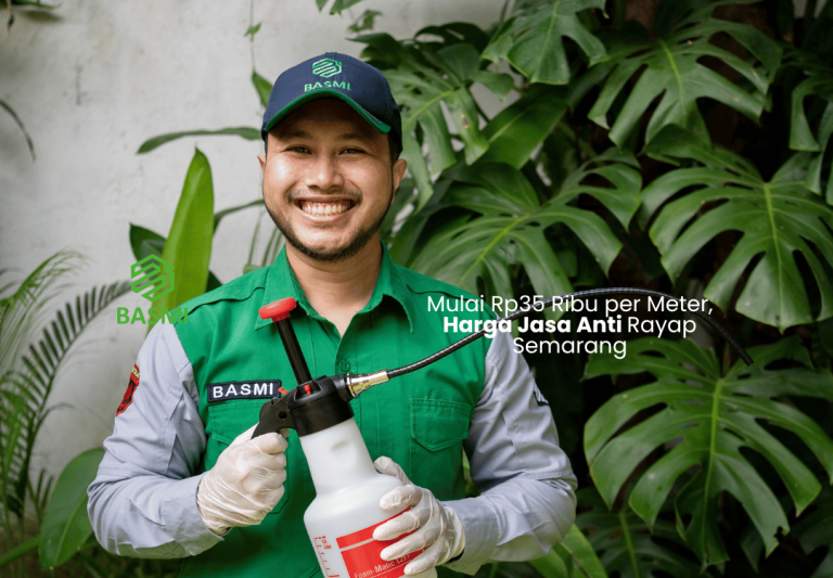 Mulai Rp35 Ribu per Meter, Harga Jasa Anti Rayap Semarang