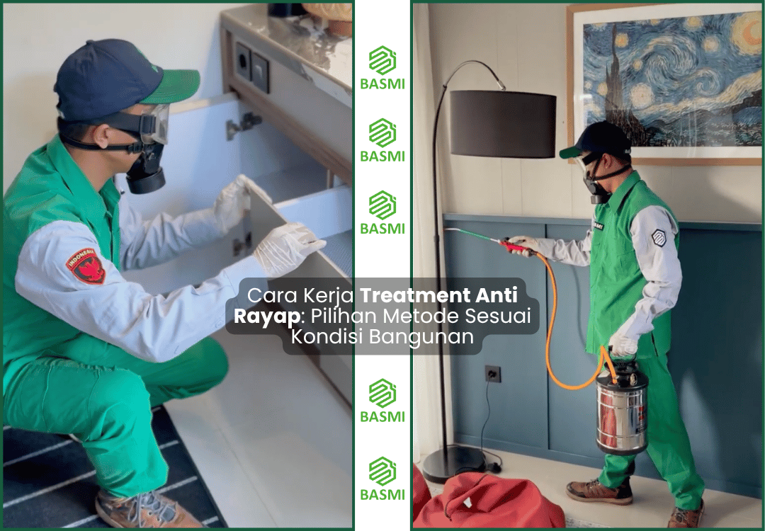 Cara Kerja Treatment Anti Rayap Pilihan Metode Sesuai Kondisi Bangunan