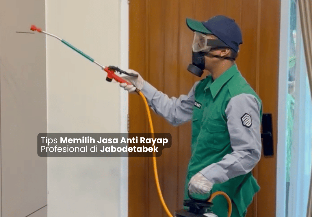 Tips Memilih Jasa Anti Rayap Profesional di Jabodetabek