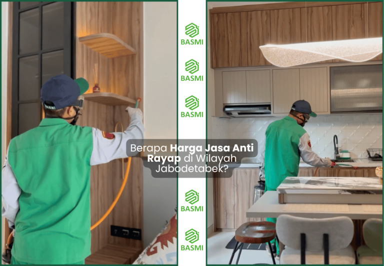 harga jasa anti rayap jabodetabek
